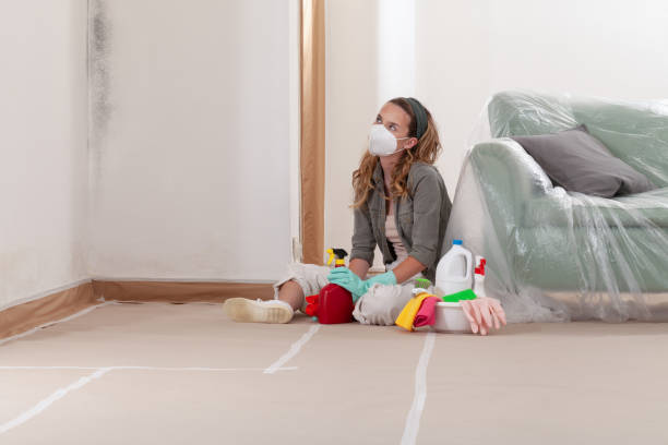 Reliable Black Mold Removal contractor in Minnetonka, MN by WQB Mold Removal